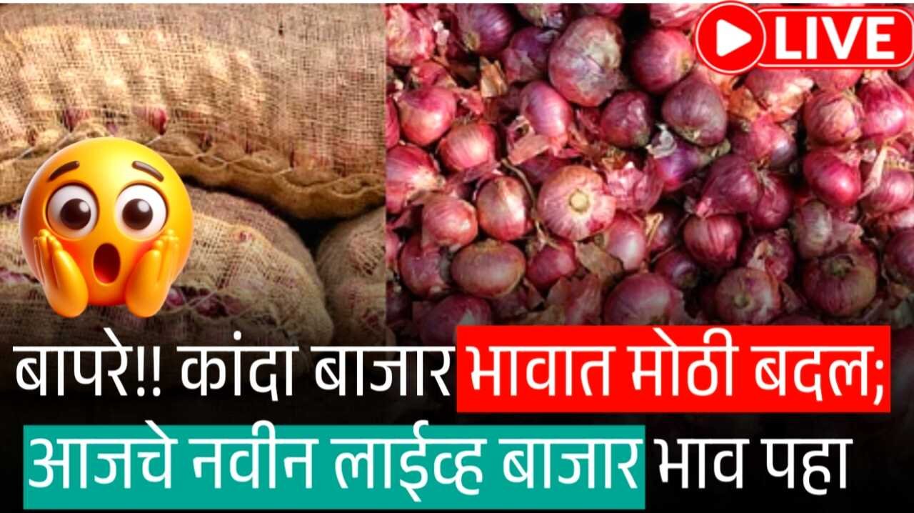 कांद्याच्या दरात मोठा बदल; आजचे नवीन दर येथे पहा Onion Rate Today