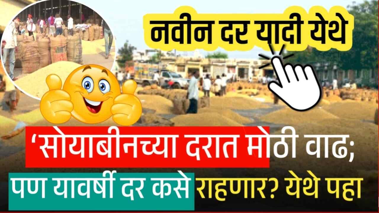 सोयाबीनच्या दरात मोठी वाढ; आजचे लाईव्ह भाव पहा Soyabean Rate Today